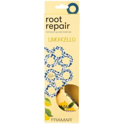 Dažymo šepetėlių rinkinys Framar Root Repair Brush Set Limoncello, 2 vnt.