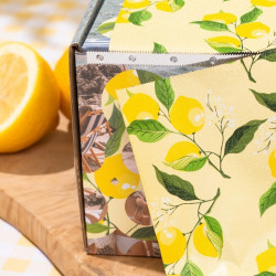 Folija plaukų dažymui Framar Embossed Roll Medium Limoncello, ritinėlyje, 97,5 m, 12,7 cm pločio